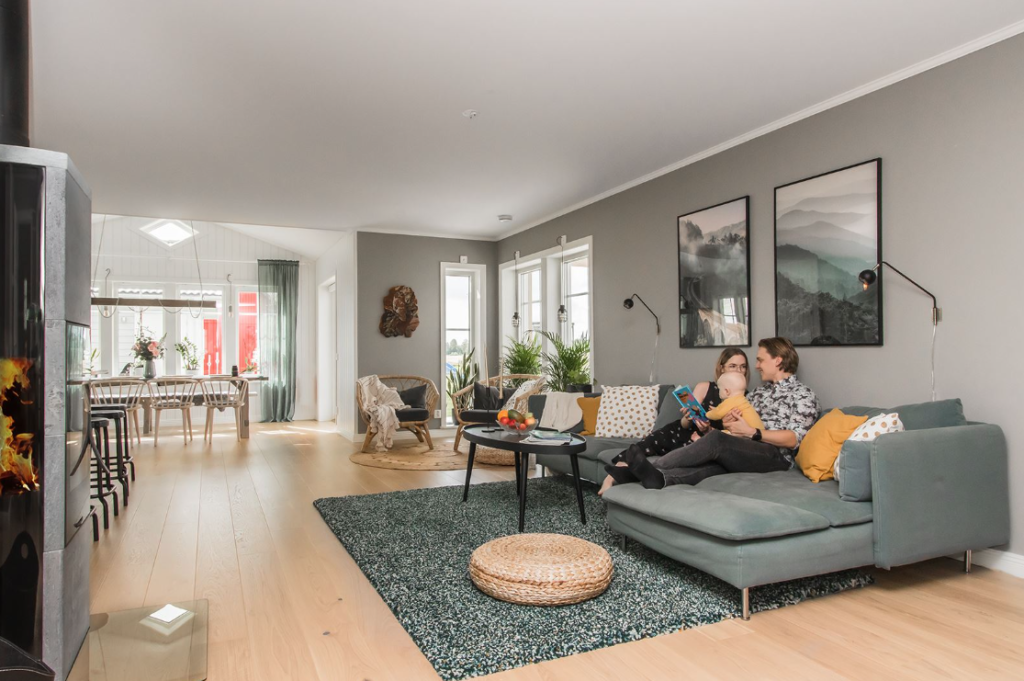 Hasseluden Planhus A-hus (1)