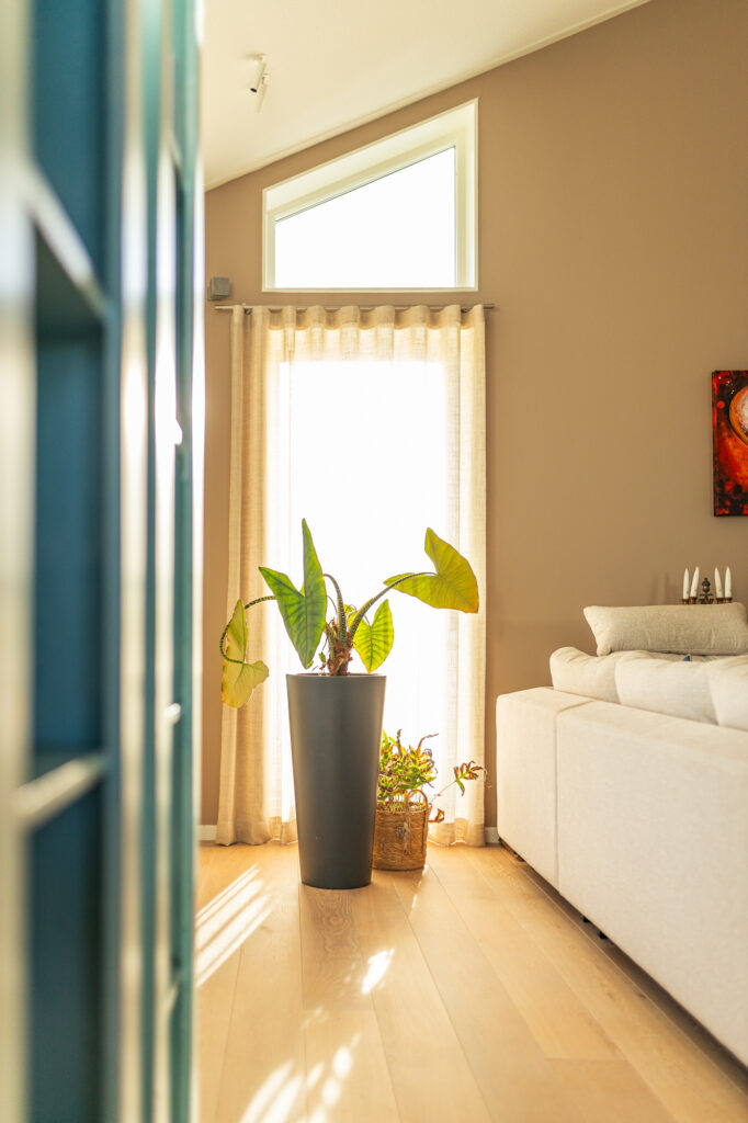 Planhus september 2023-7975