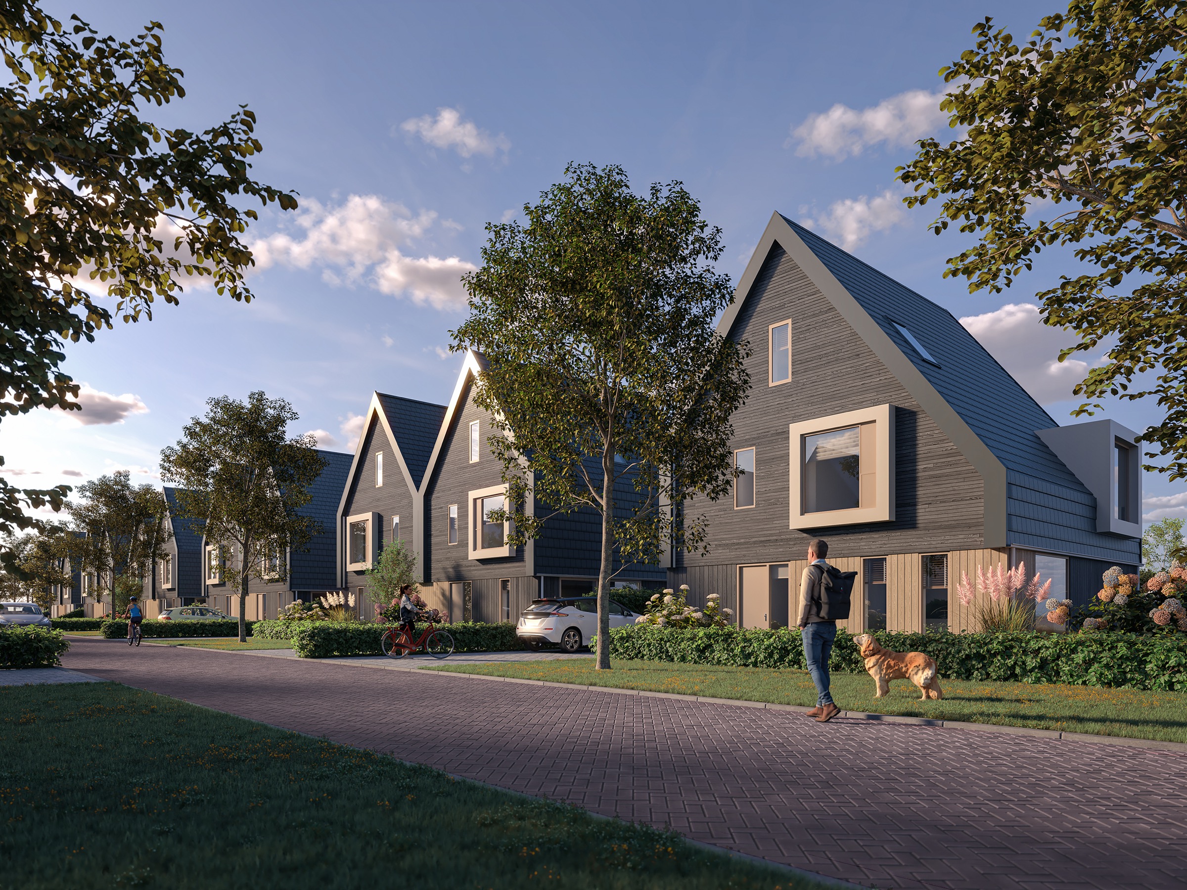Hof fan Lemmer, Planhus project